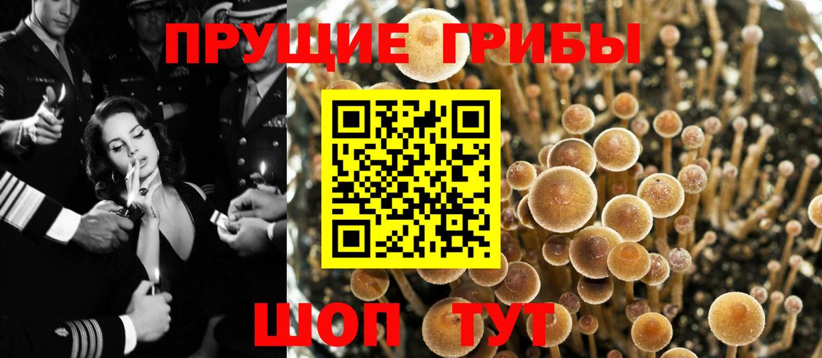 Псилоцибиновые грибы ЛСД  Вход с VPN  Еманжелинск 